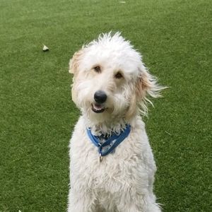 Meet your Posher, Tanya